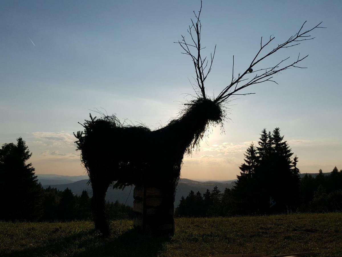 Ferienhaus Am Kirchberg Kurort Steinbach-Hallenberg Buitenkant foto
