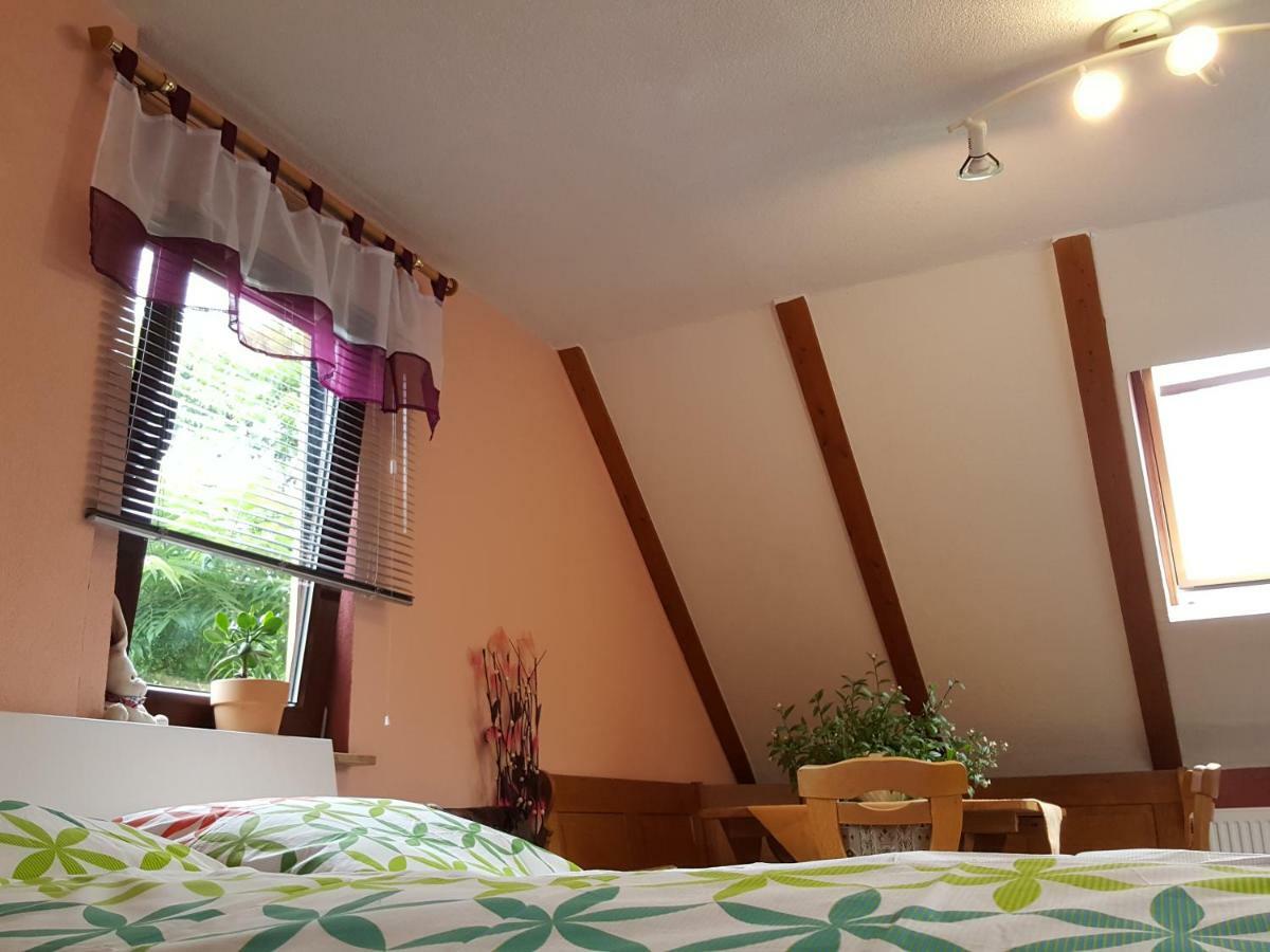 Ferienhaus Am Kirchberg Kurort Steinbach-Hallenberg Buitenkant foto